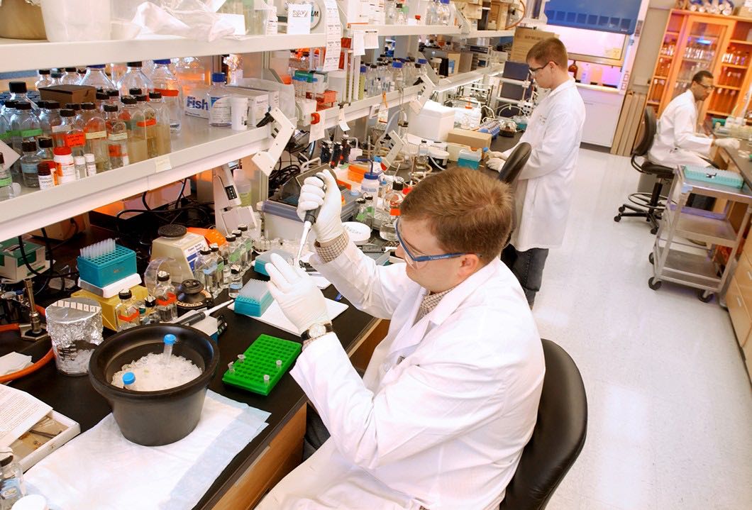 medical researchers working in a laboratory