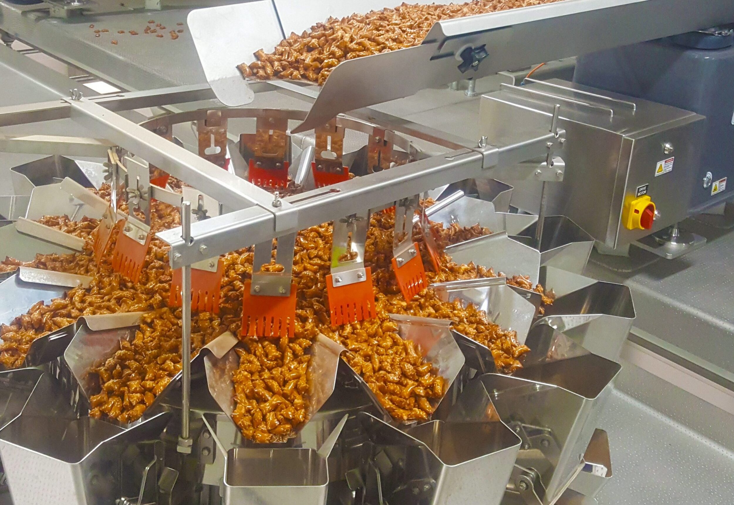 conveyor carrying pretzels